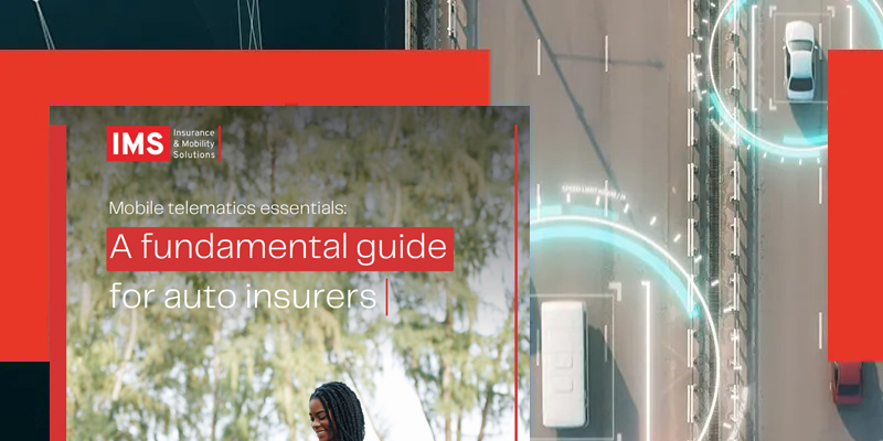 W - Fundamental guide for auto insurers